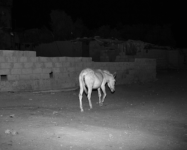 Kovi Konowiecki “and in its place, another” at Salt and Pepper