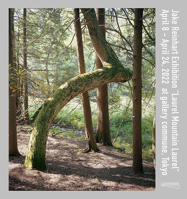 Jake Reinhart “Laurel Mountain Laurel”