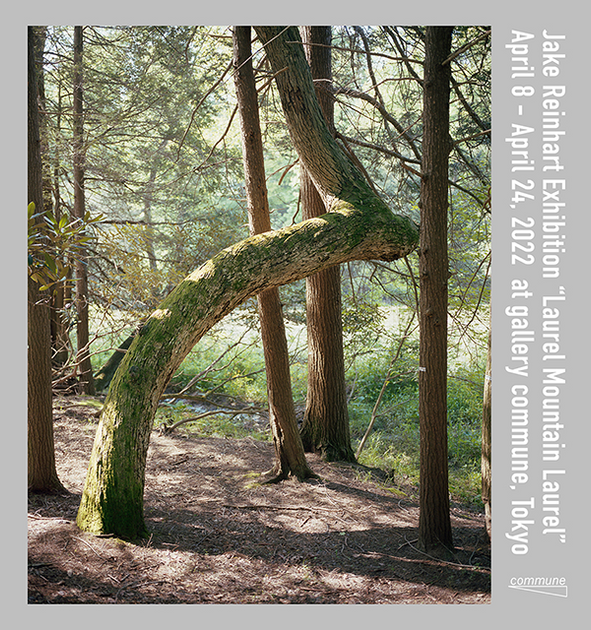 Jake Reinhart “Laurel Mountain Laurel” - commune